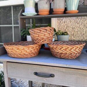 Vintage Woven Baskets Plants Boho